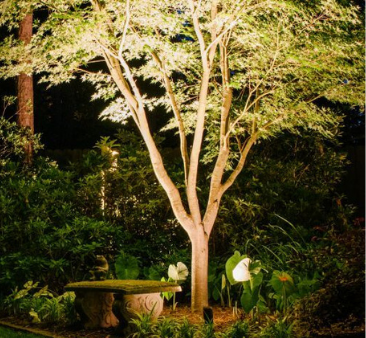 tree lighting, landscape lighting, Atlanta, GA